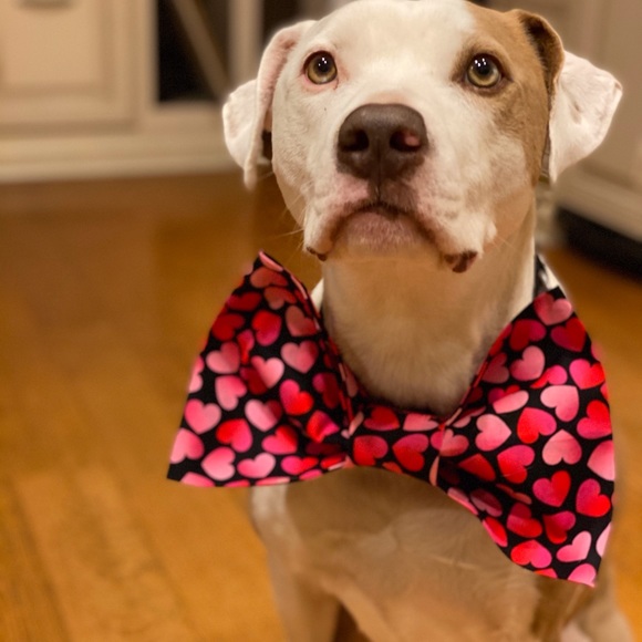 Bundle And Save - Picture 2 of 4